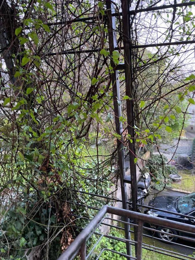 Schoene Wohnung In Zentraler Lage Im Ruhrgebiet Witten an der Ruhr Exterior foto
